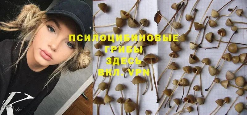 Галлюциногенные грибы MAGIC MUSHROOMS  Бавлы 